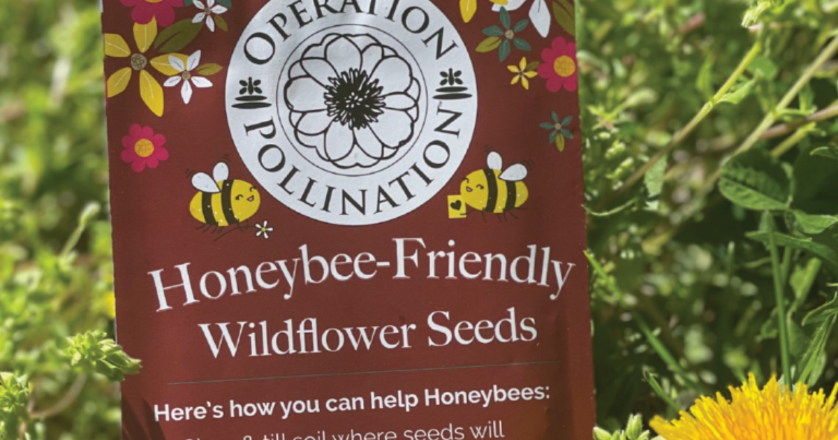 Operation Pollination Honey Bee Friendly Wildflower Seed Packets