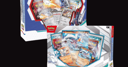 Pokemon Set