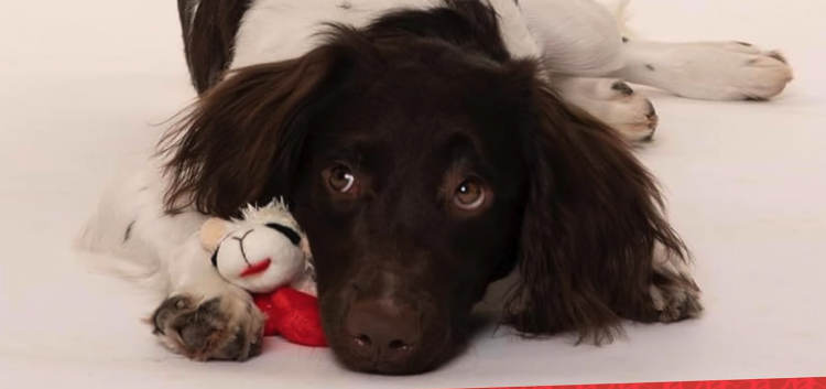 Screenshot 2025 11 15 at 12 19 09 PM