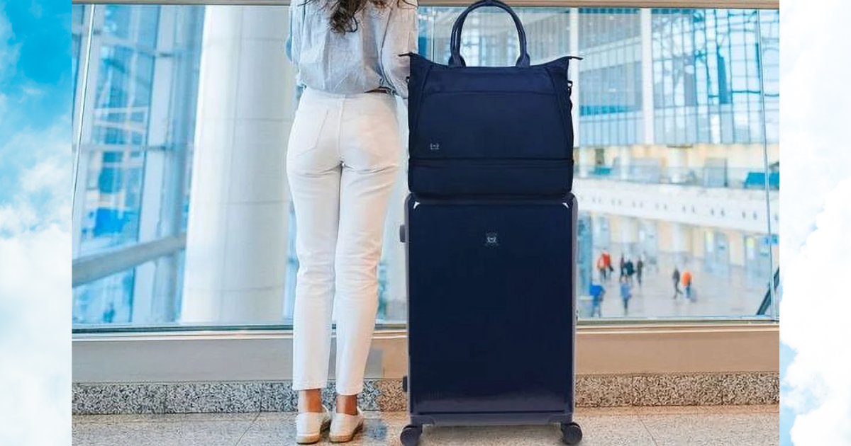 THE HOME EDIT LUGGAGE