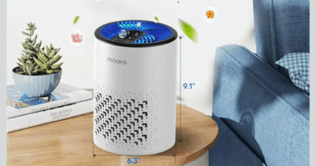 Untitled 1200 x 900 px 20251112 133240 0000