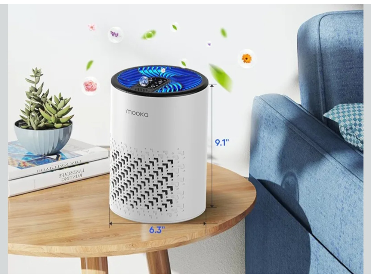 Untitled 1200 x 900 px 20251112 133240 0000