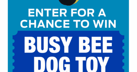 busy bee dog toy