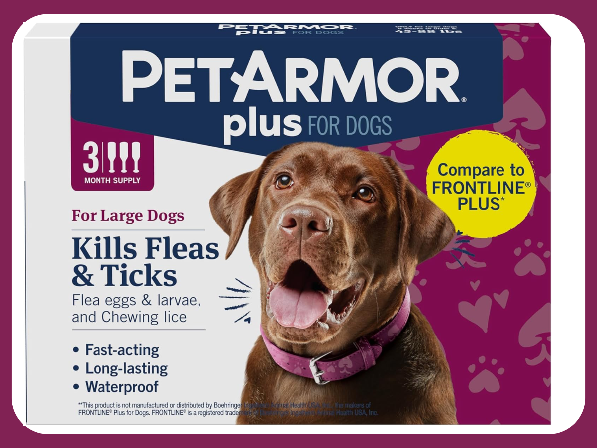 petarmor pet armor