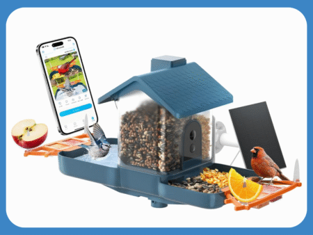 Bird Feeder