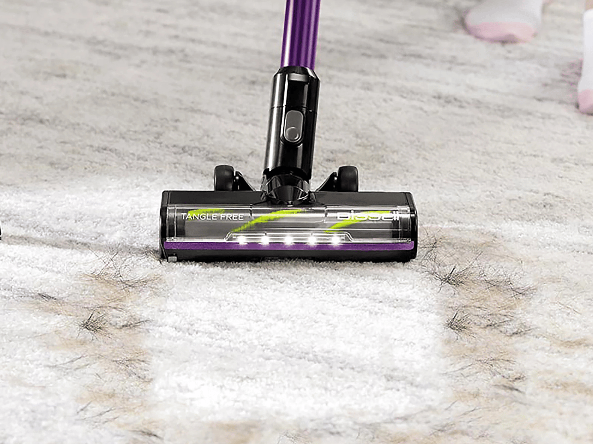 Bissell Cleanview XR