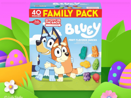 Bluey Fruit Snacks