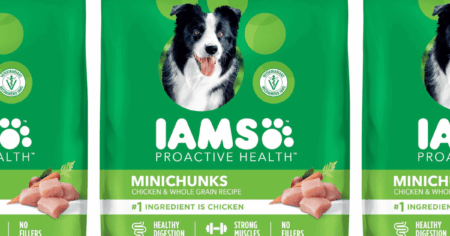 IAMS Dog Food