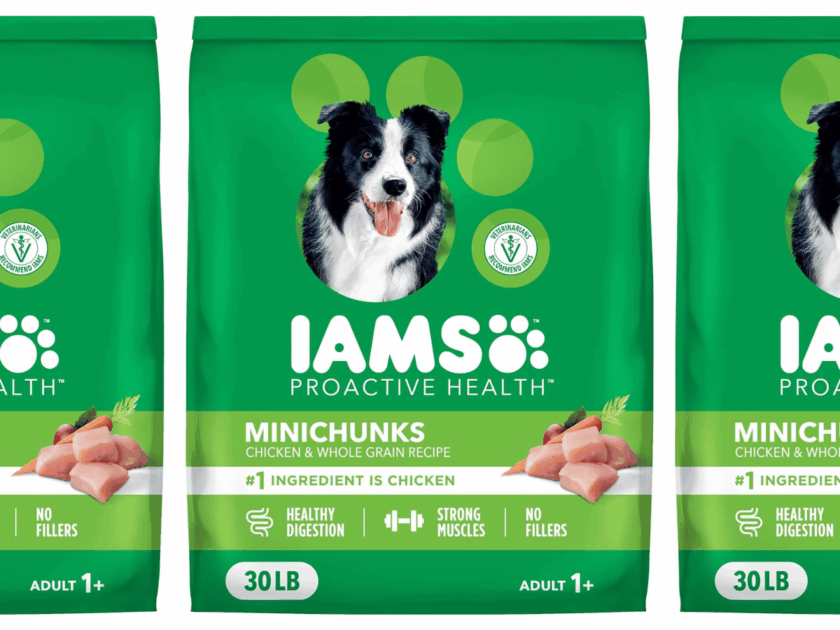 IAMS Dog Food