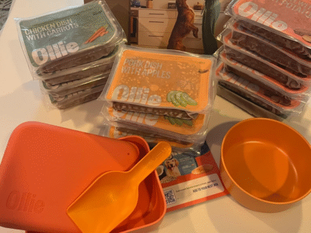 Ollie Dog Food