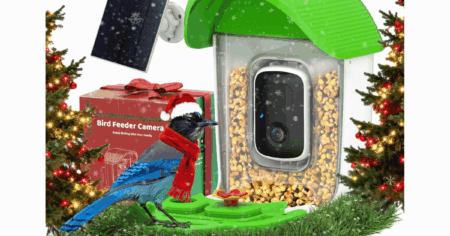 Solar Bird Feeder with Camera