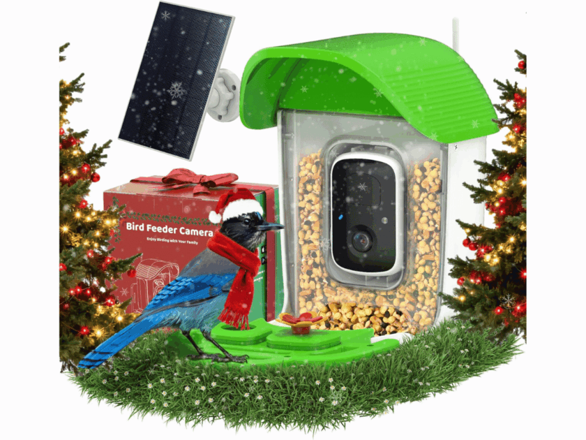 Solar Bird Feeder with Camera