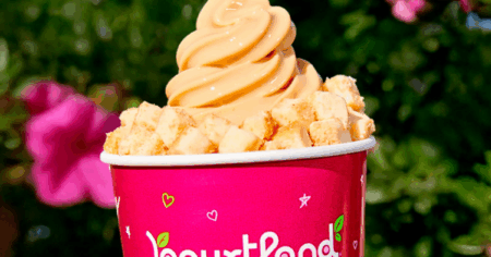 Yogurtland Yogurt in a Hand