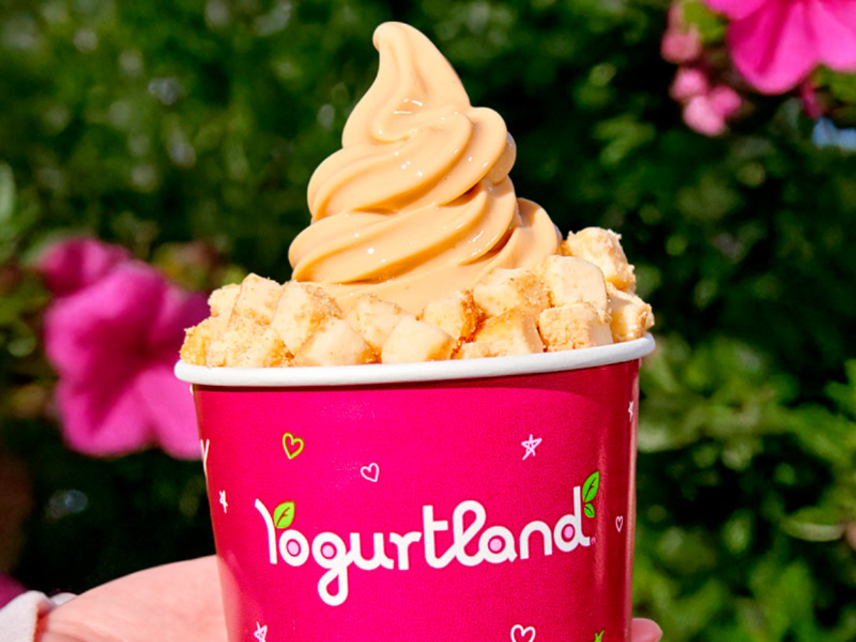 Yogurtland Yogurt in a Hand