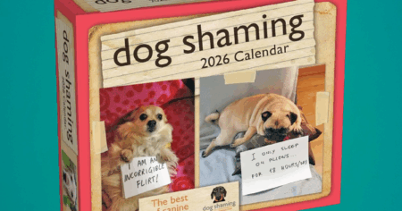 dog shaming calendar 2026 day to day