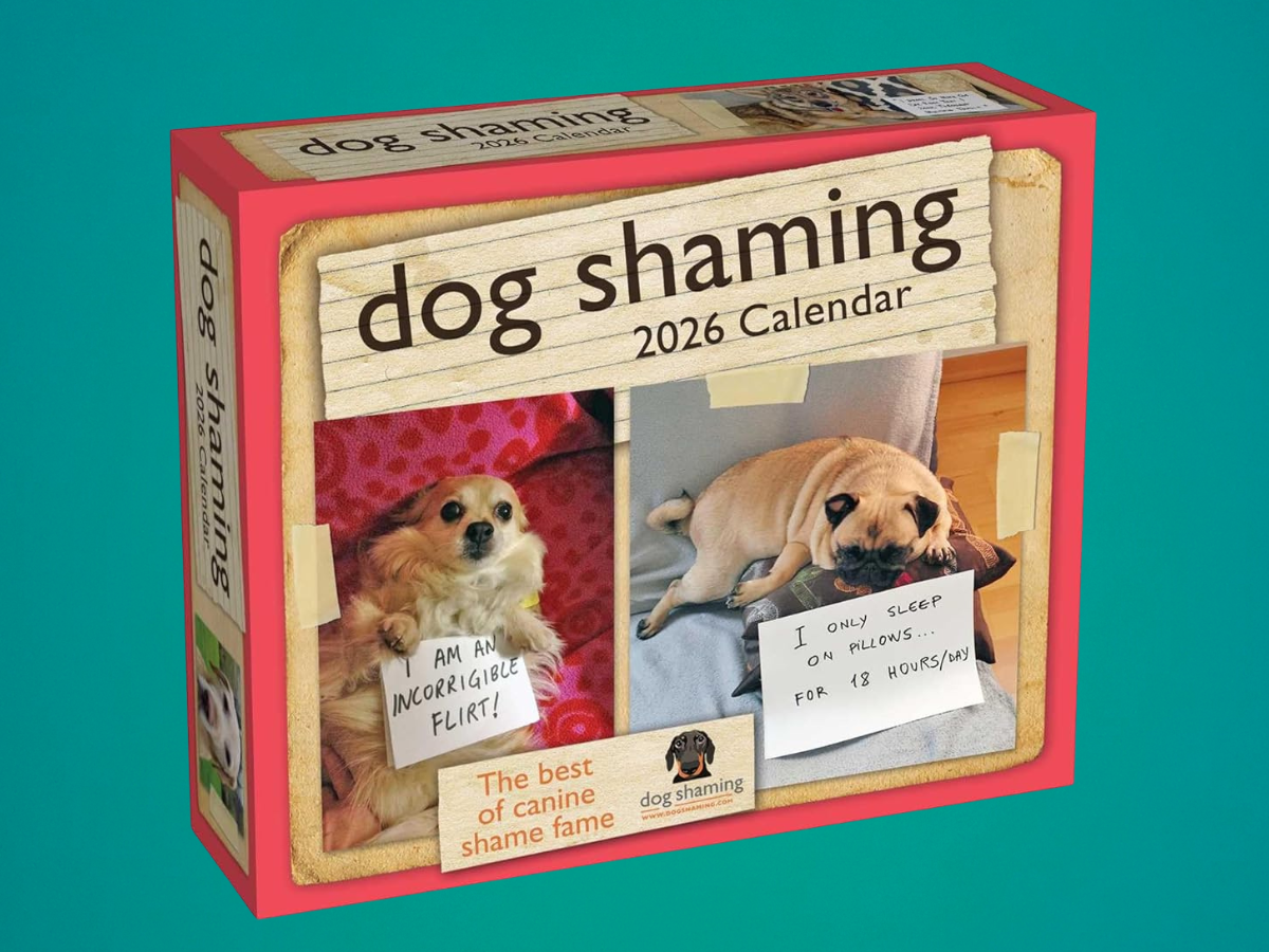 dog shaming calendar 2026 day to day