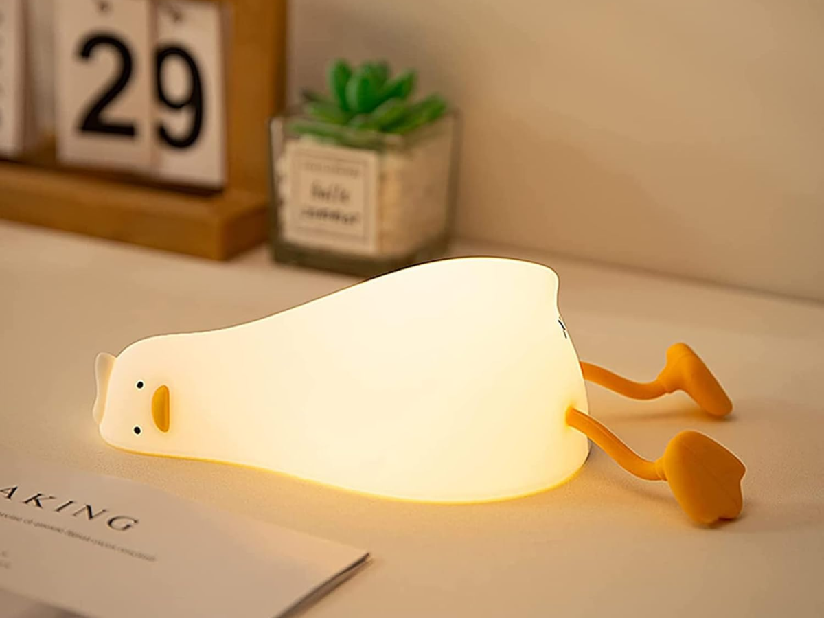 duck light