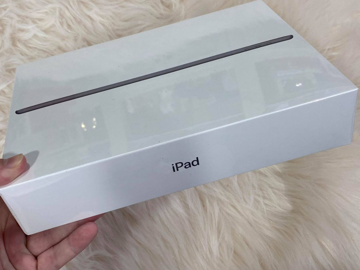iPad