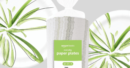 Amazon Basics Paper Plates