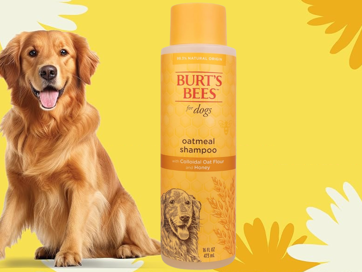 Burt's Bees Dog Shampoo