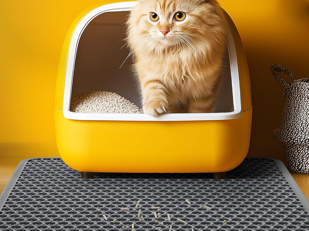 Cat Litter Mat