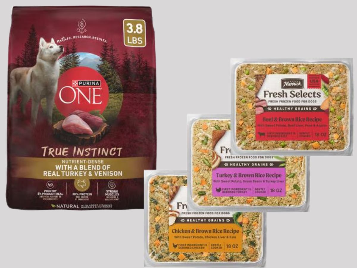 Chewy Dog Food Chewy Dog Food