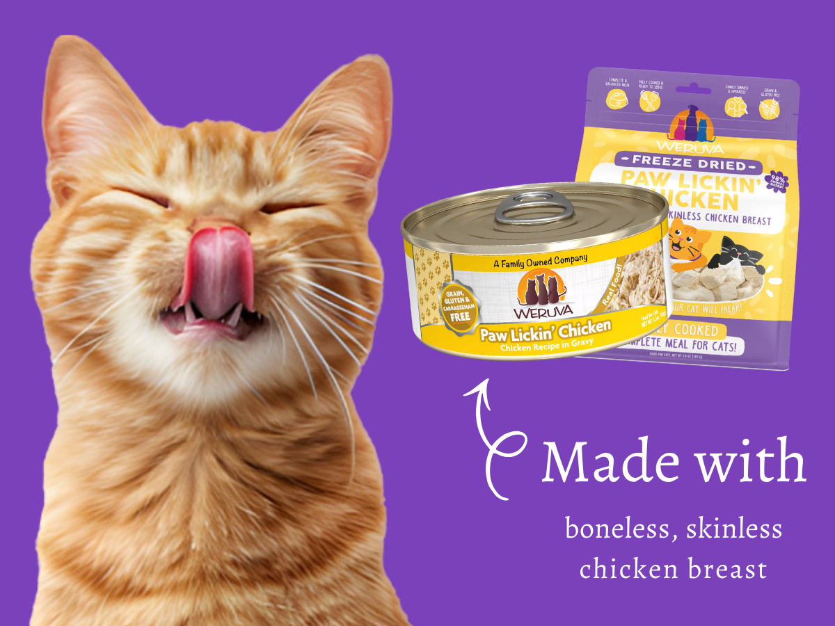 Free Weruva Cat Food Samples from PetSmart Free Weruva Cat Food Samples from PetSmart