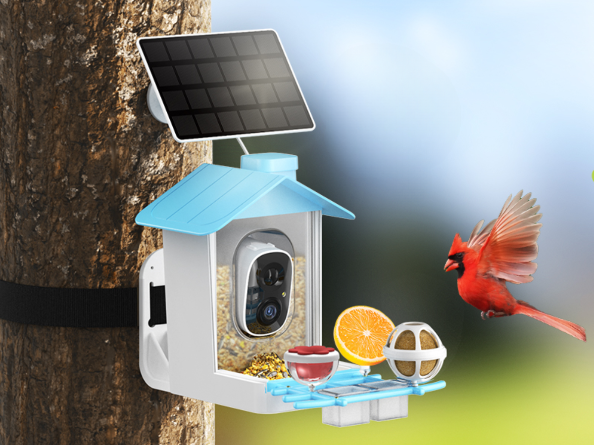 HARYMOR Smart Bird Feeder bird camera