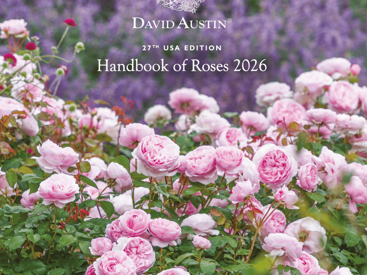 Handbook of Roses
