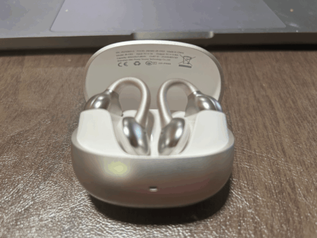 Joyroom Earbuds (2)