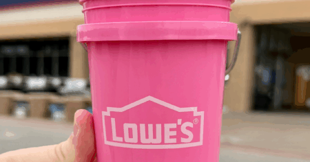 Lowe's Mini Pink Buckets