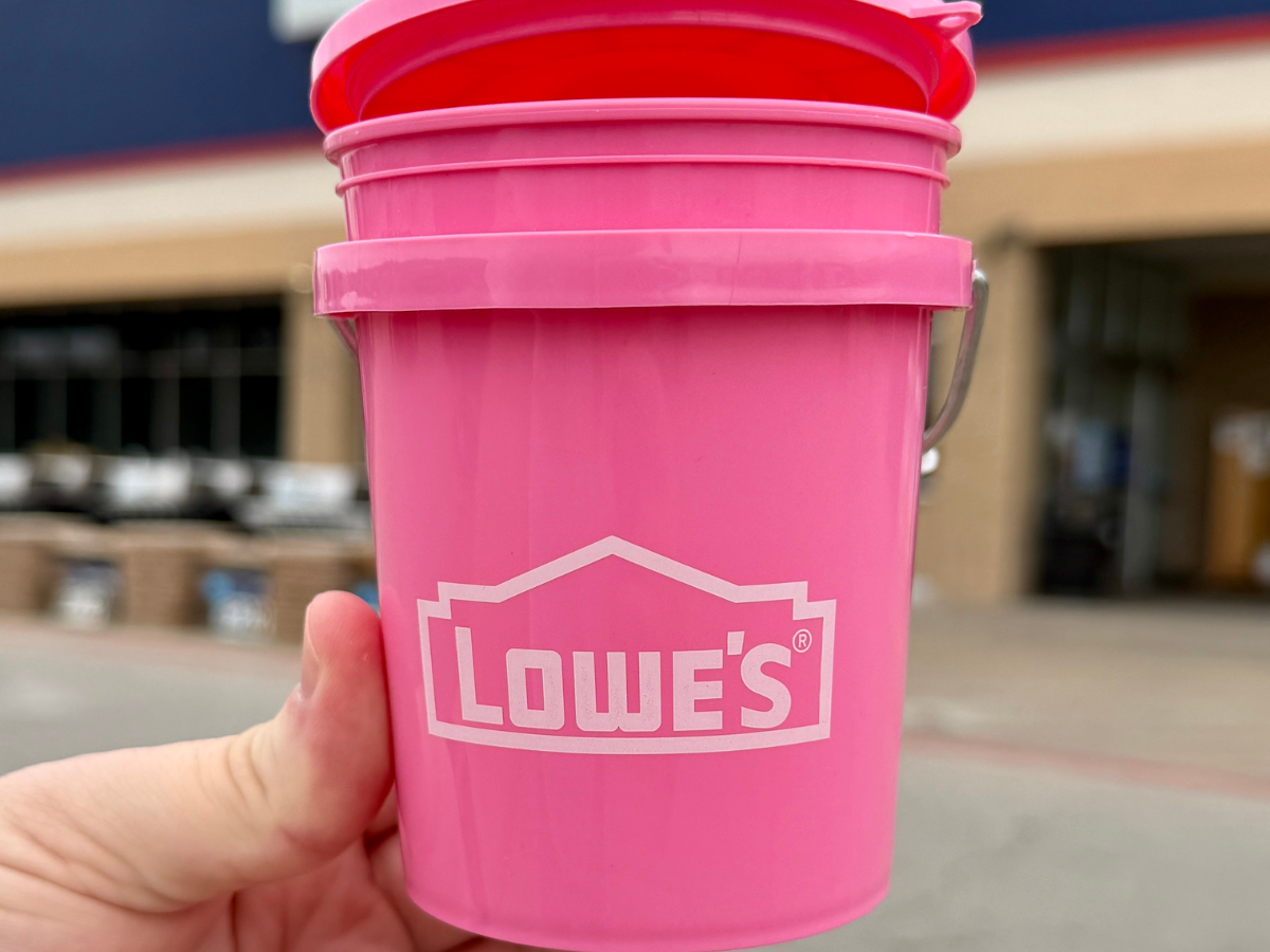 Lowe's Mini Pink Buckets