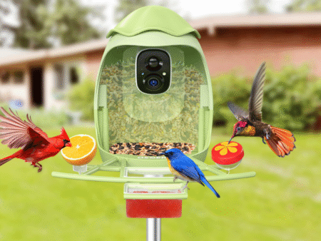 Osoeri Smart Bird Feeder