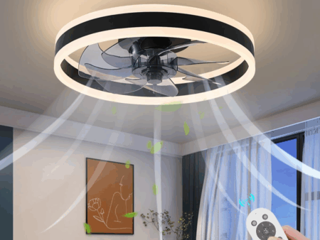remote ceiling fan light