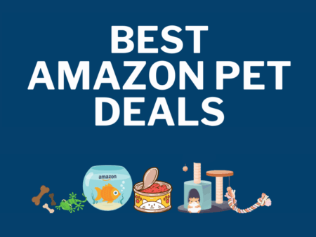 amazon pet deals