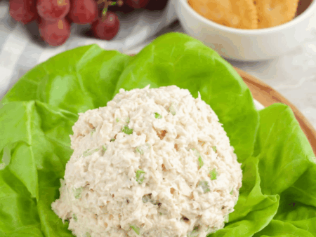 chicken salad scoop