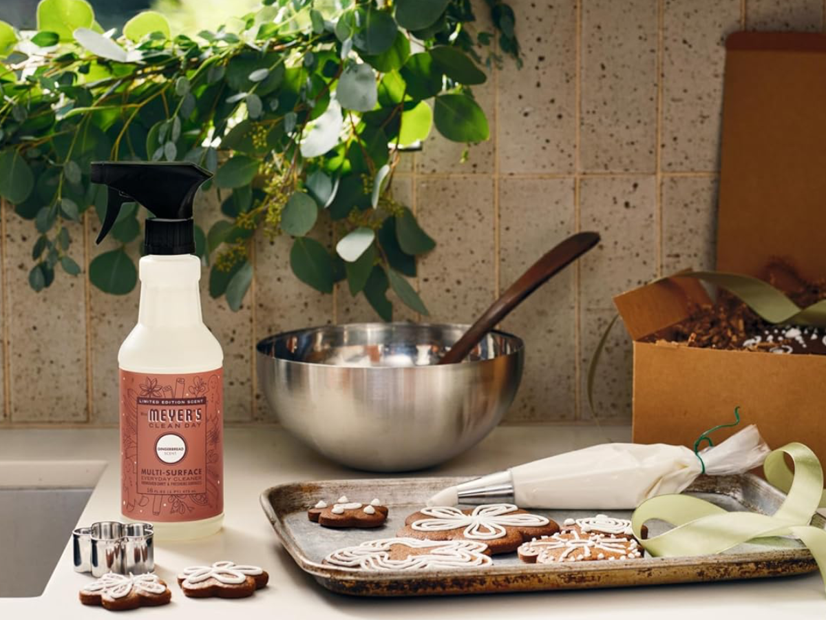 mrs Meyer gingerbread scent1 mrs Meyer gingerbread scent1