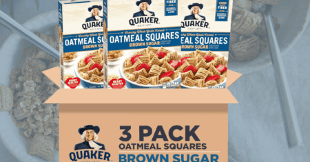 oatmeal squares