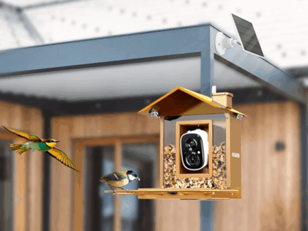 solar bird feeder