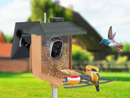 ai smart bird feeder