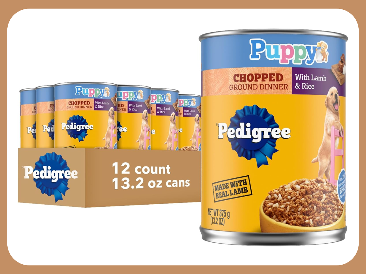 wet puppy food