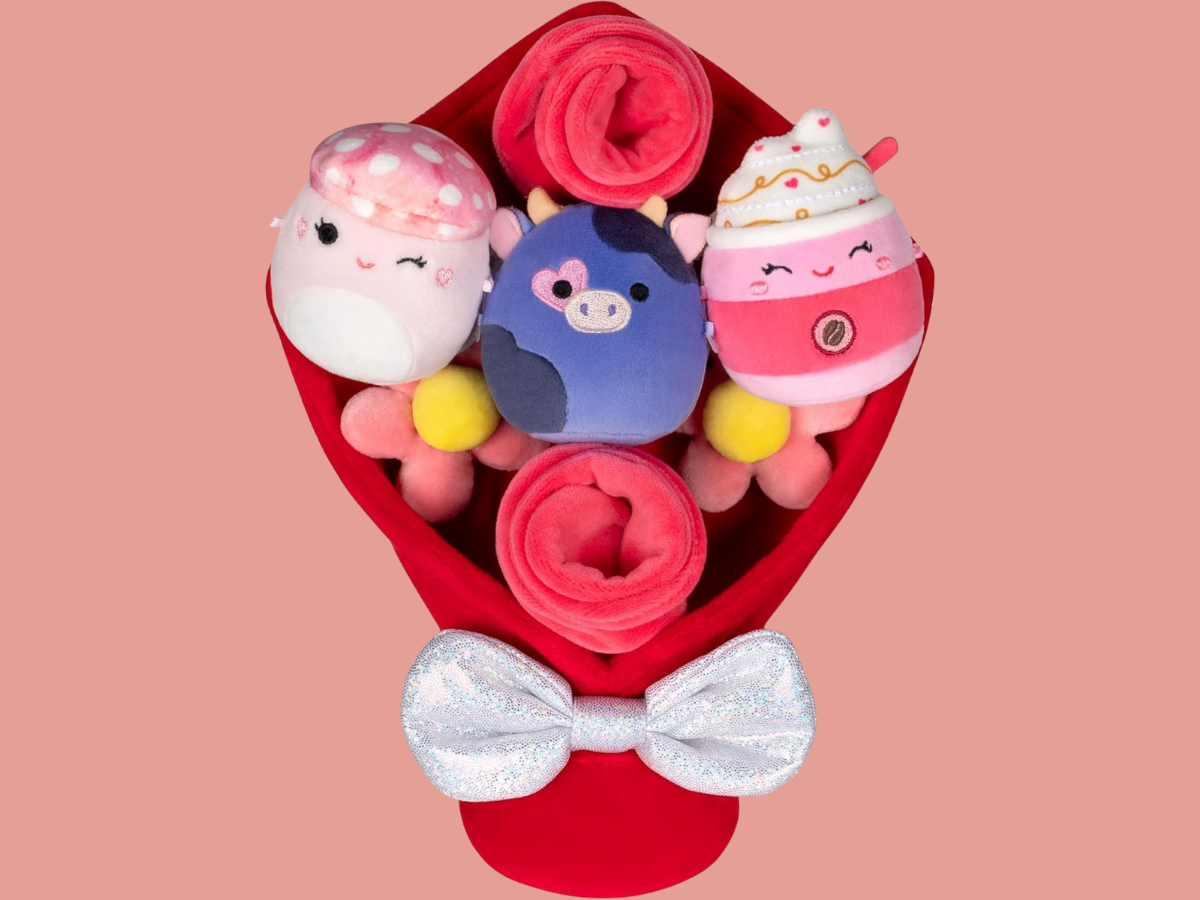 Squishmallows Valentines Day