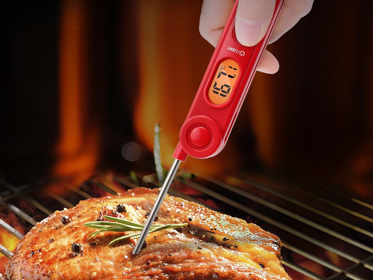 thermapro meat thermometer