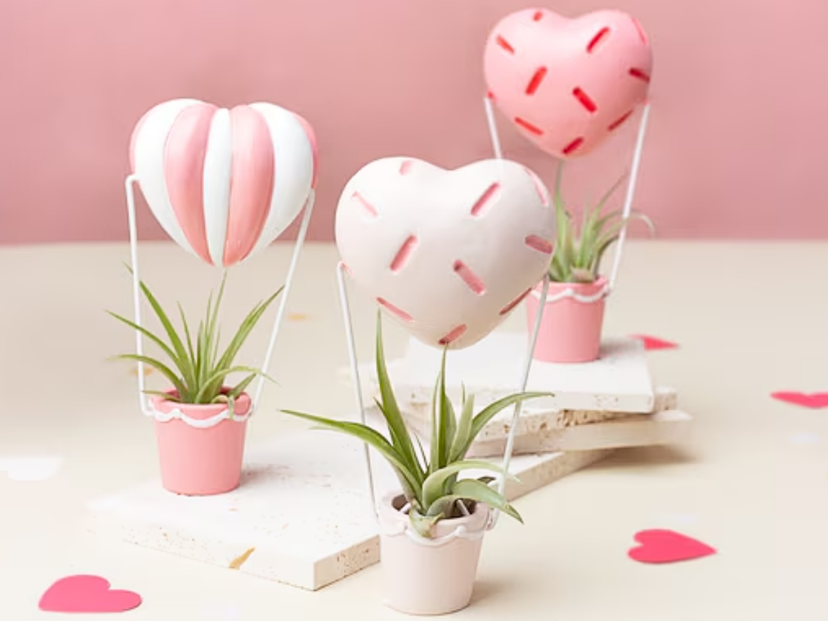 valentine's day plants