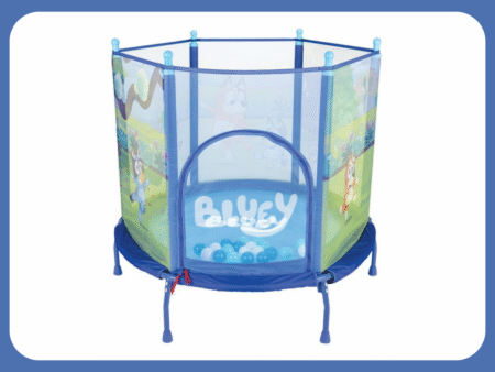 Bluey trampoline