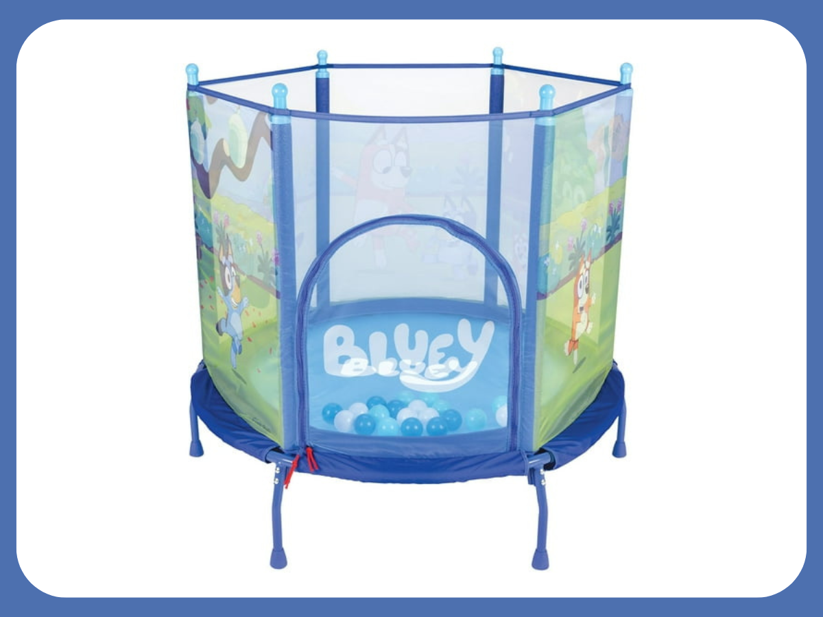 Bluey trampoline 