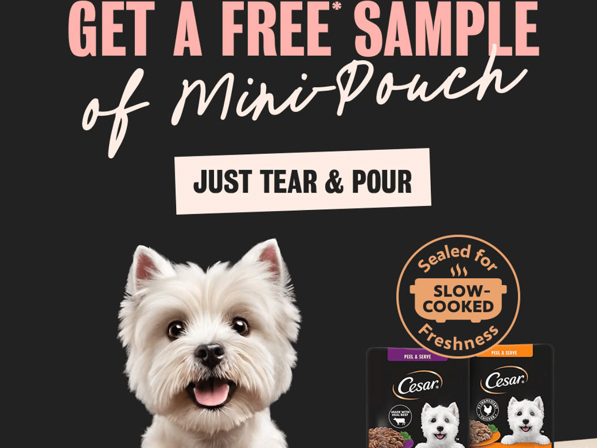 Cesar Mini Pouch Sample