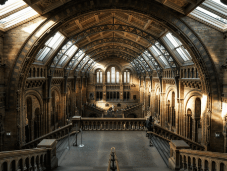 Museum image representing Bank of America Museums