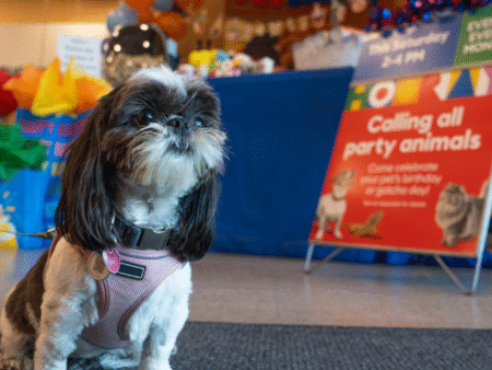 PetSmart's Birthday + Gotcha Bash