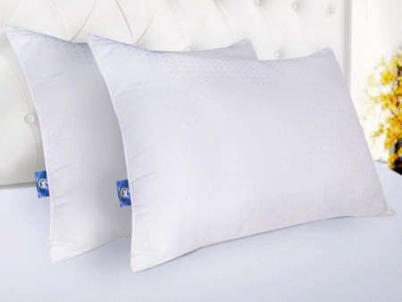 Serta Pillows